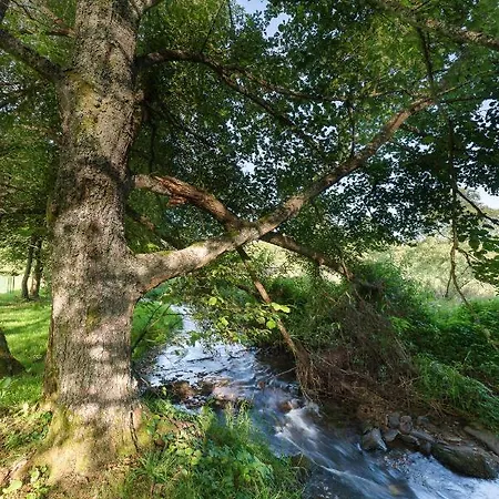 L'atelier Du Moulin D'en Bas Nyaraló